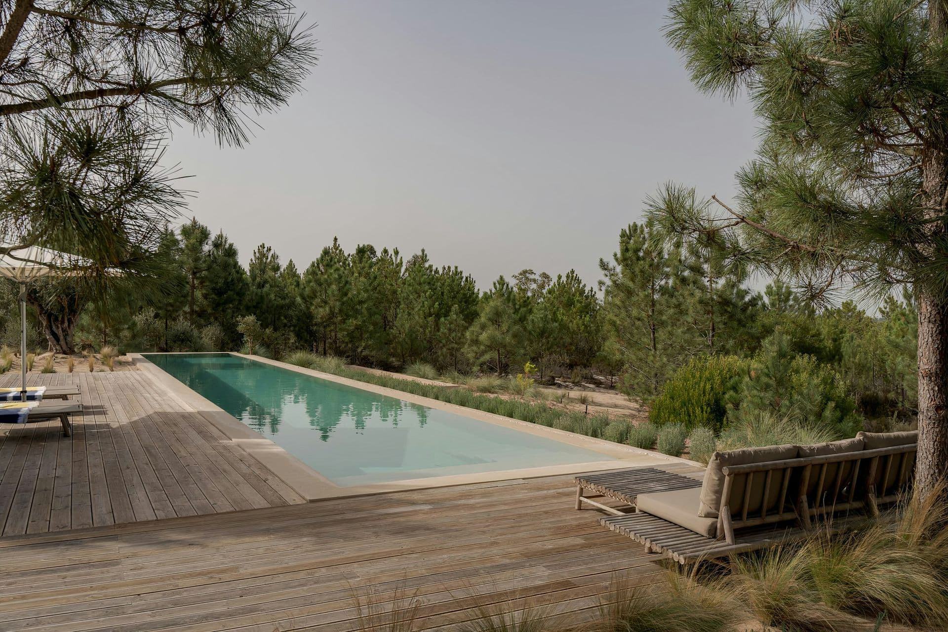 Rectangular pool and sun deck framed by pine trees at Mighty Pine
