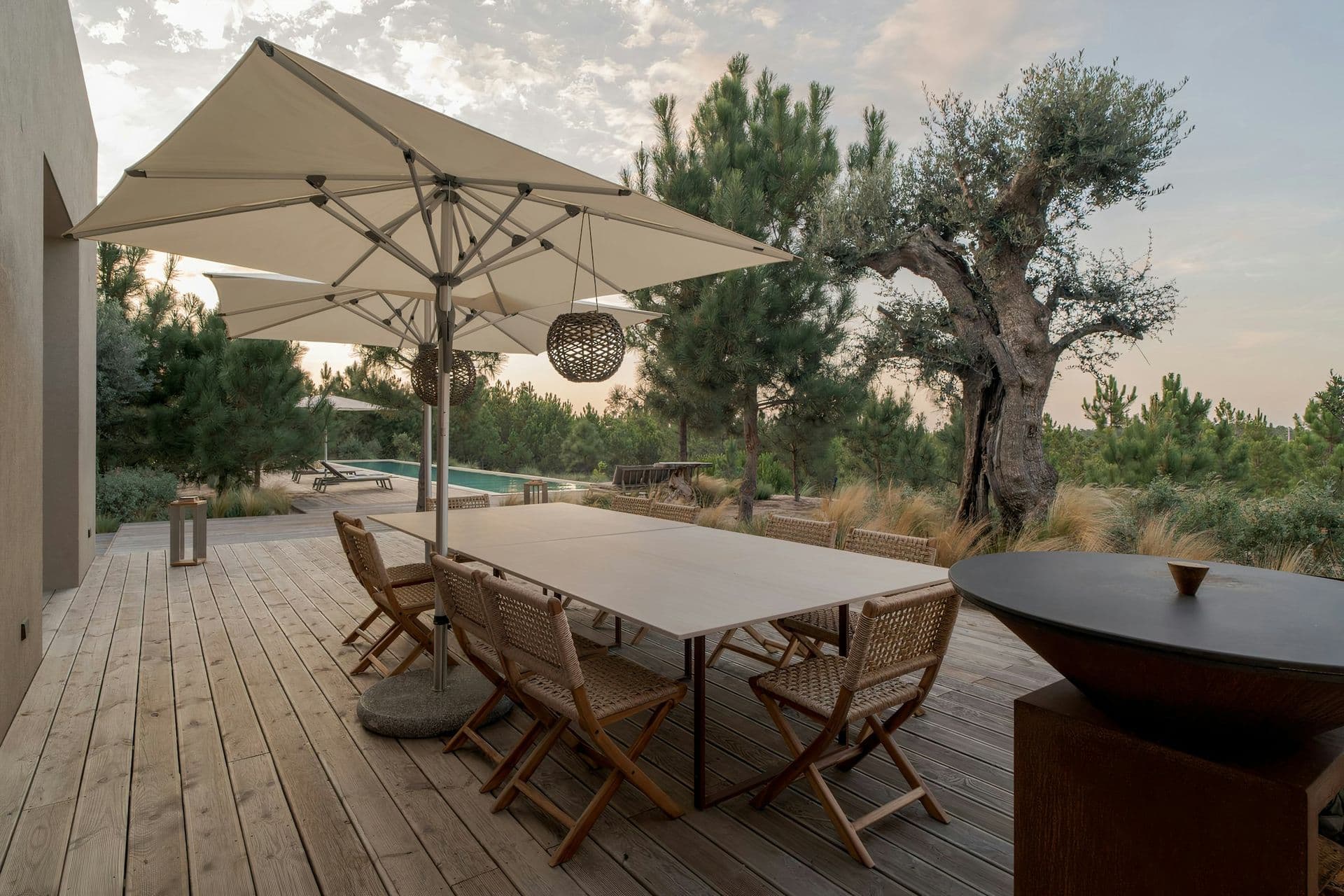 Outdoor dining table on the deck beside an olive tree at Mighty Pine