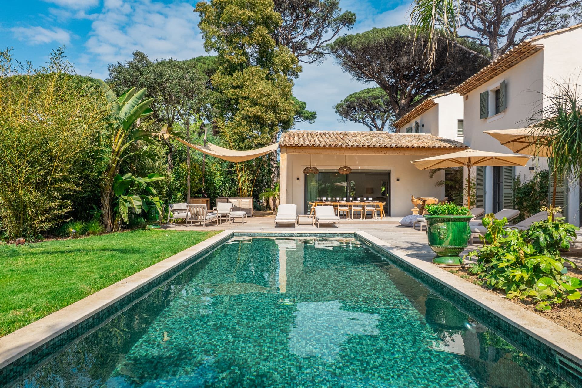 Landscaped garden and pool with emerald green tiling framed by umbrella pine trees.