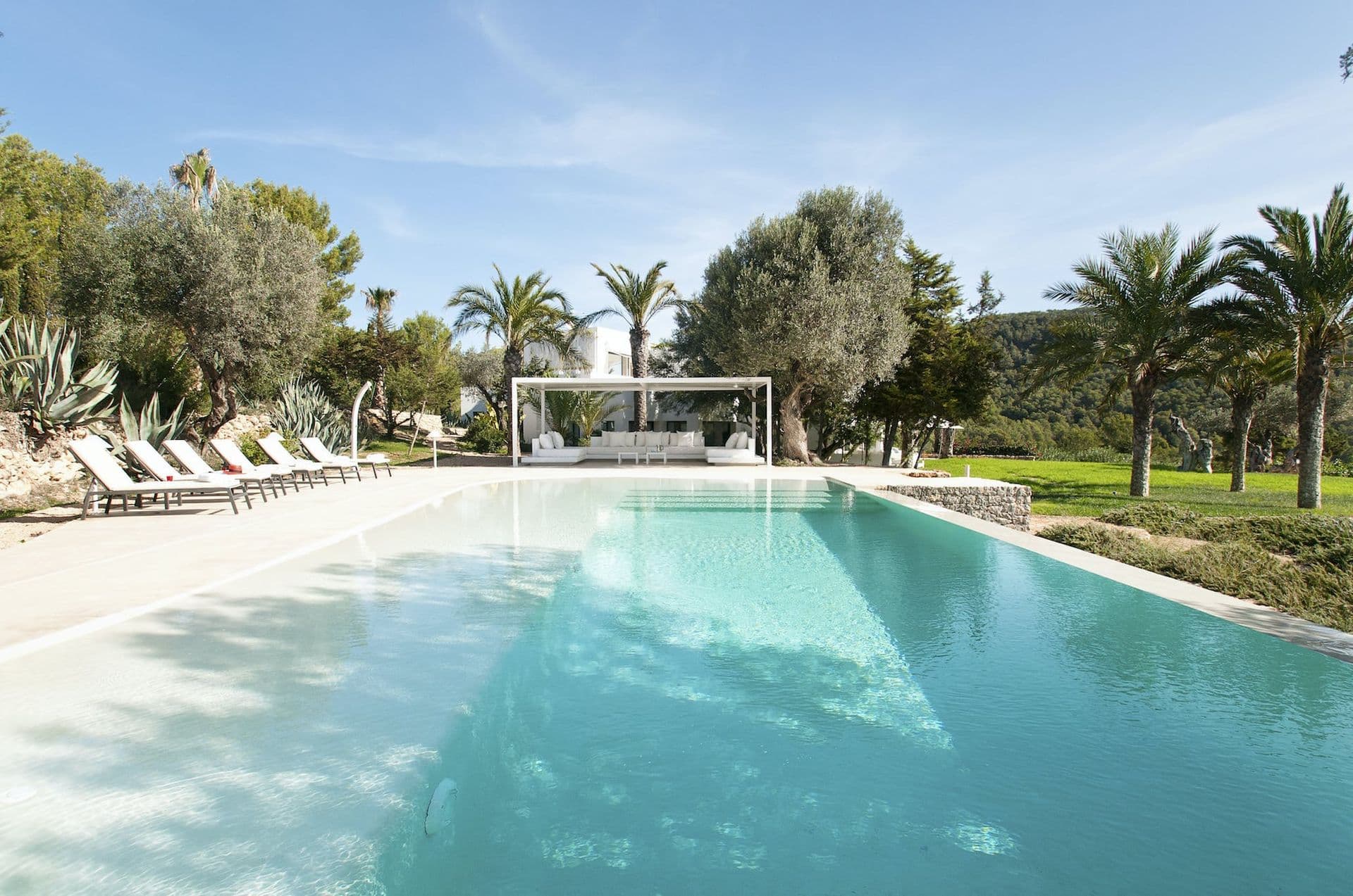 Long infinity-edge pool bordered by pine trees at Pure Oasis villa in Ibiza