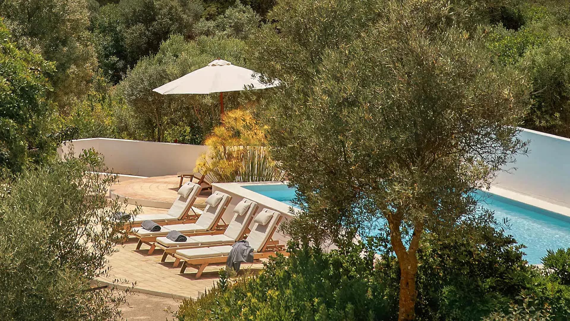 Elevated view of the pool and sun loungers set within pine-shaded gardens