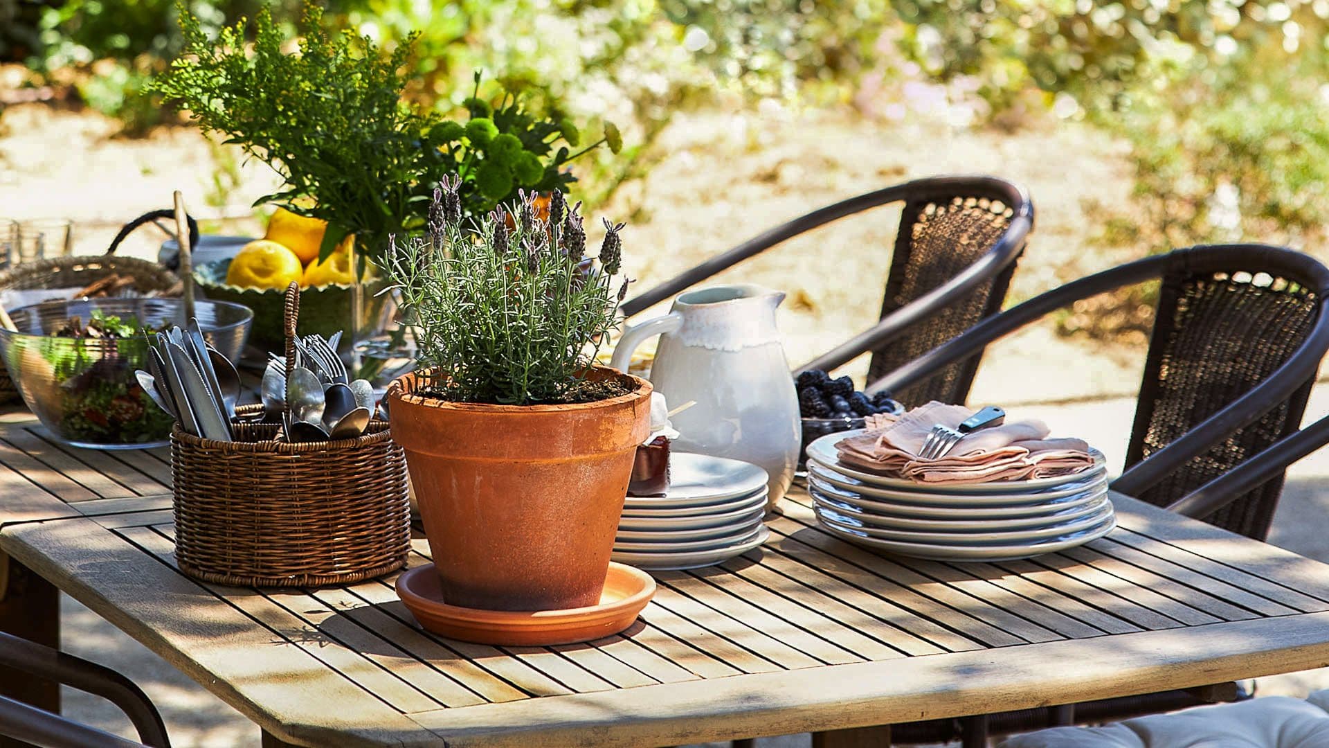 Outdoor dining table set with herb pots and rustic tableware under the trees