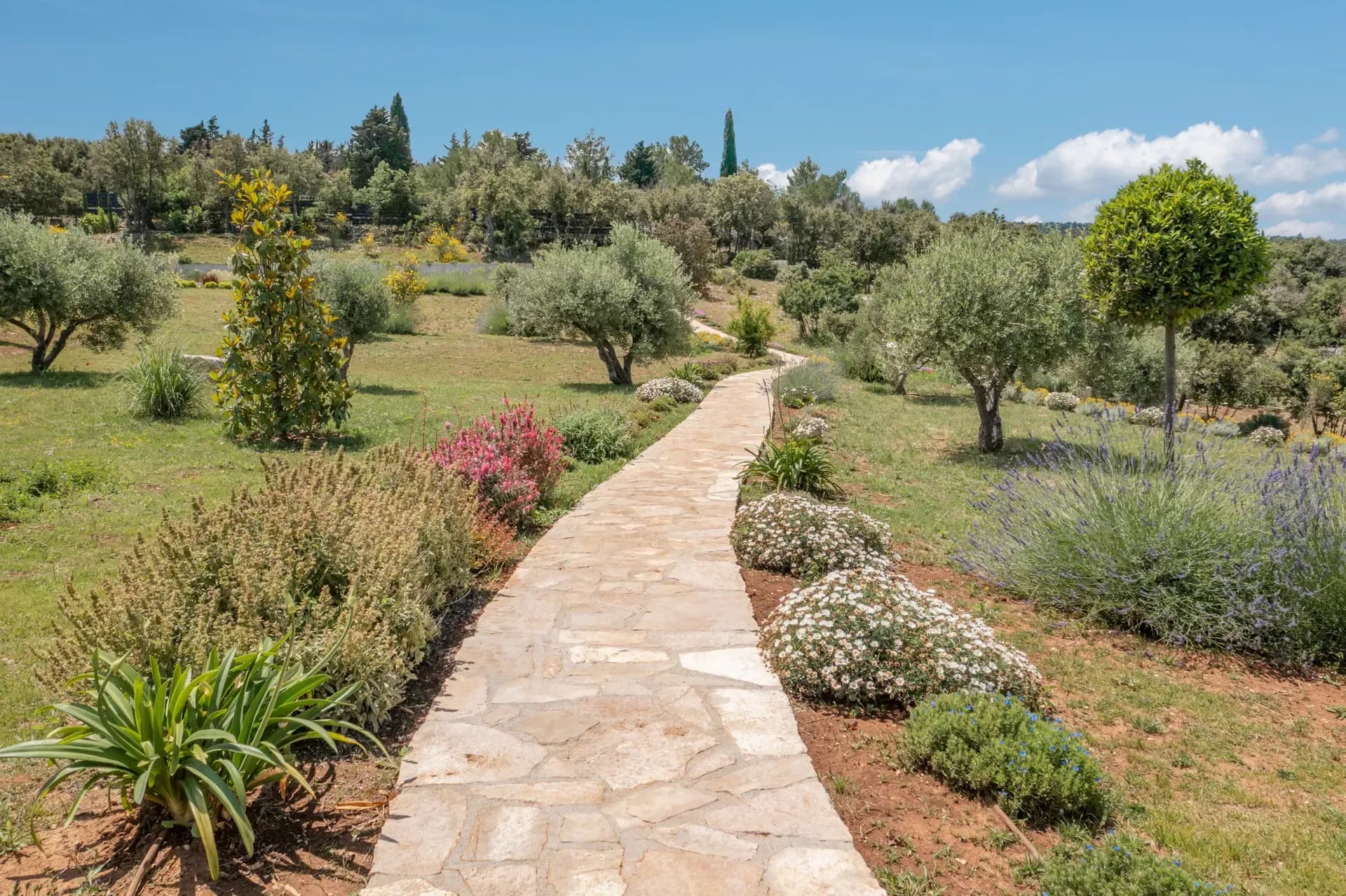 A stone path winding through Highland Avenue's Mediterranean gardens.