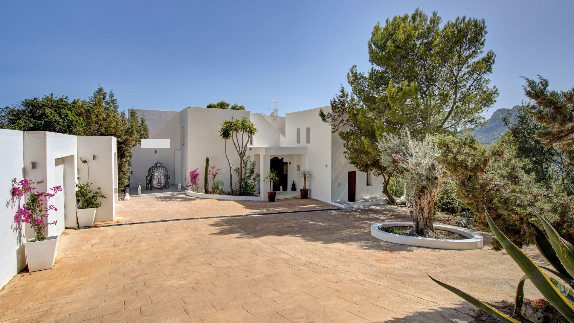Whitewashed courtyard entrance with cactus garden in Ibiza style