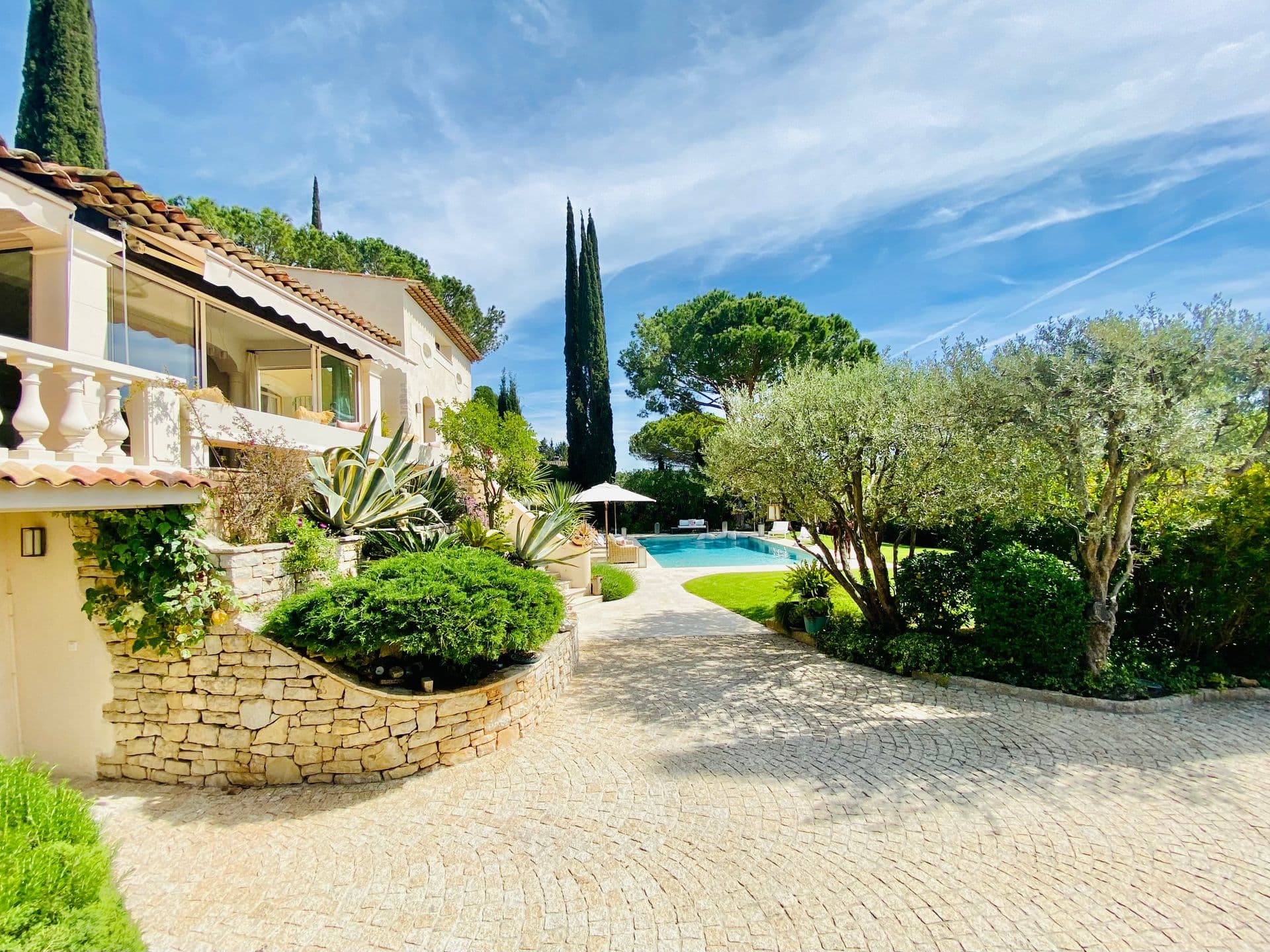 Gravel path through olive trees leading to the villa and pool.
