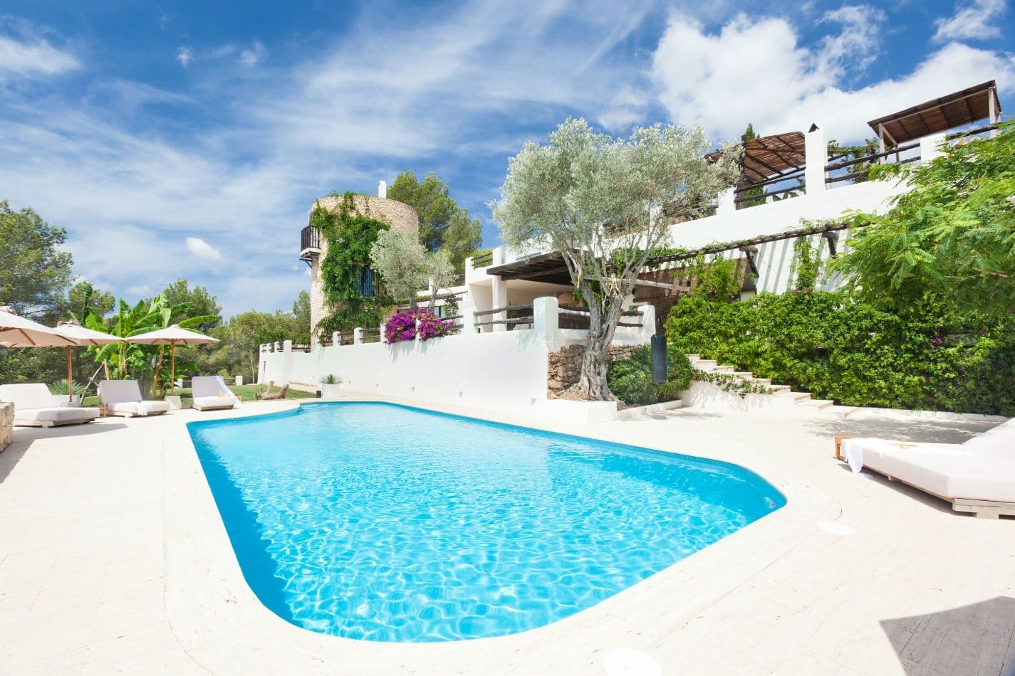 Ibiza finca swimming pool with sun loungers and mature olive trees