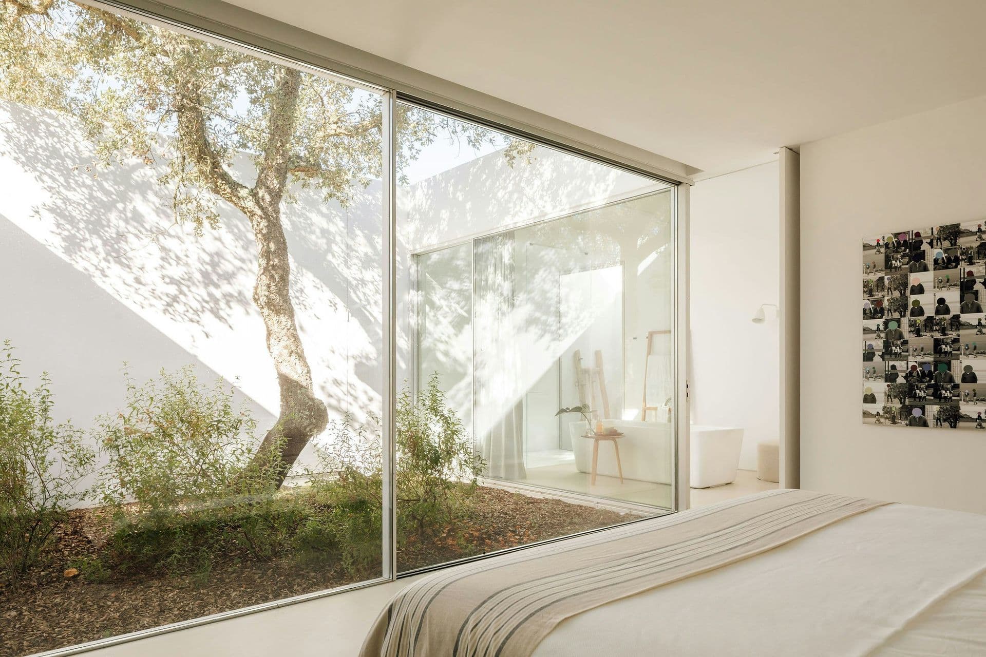 Bedroom with a private glazed courtyard and tree at The Spirit of Joy, Comporta