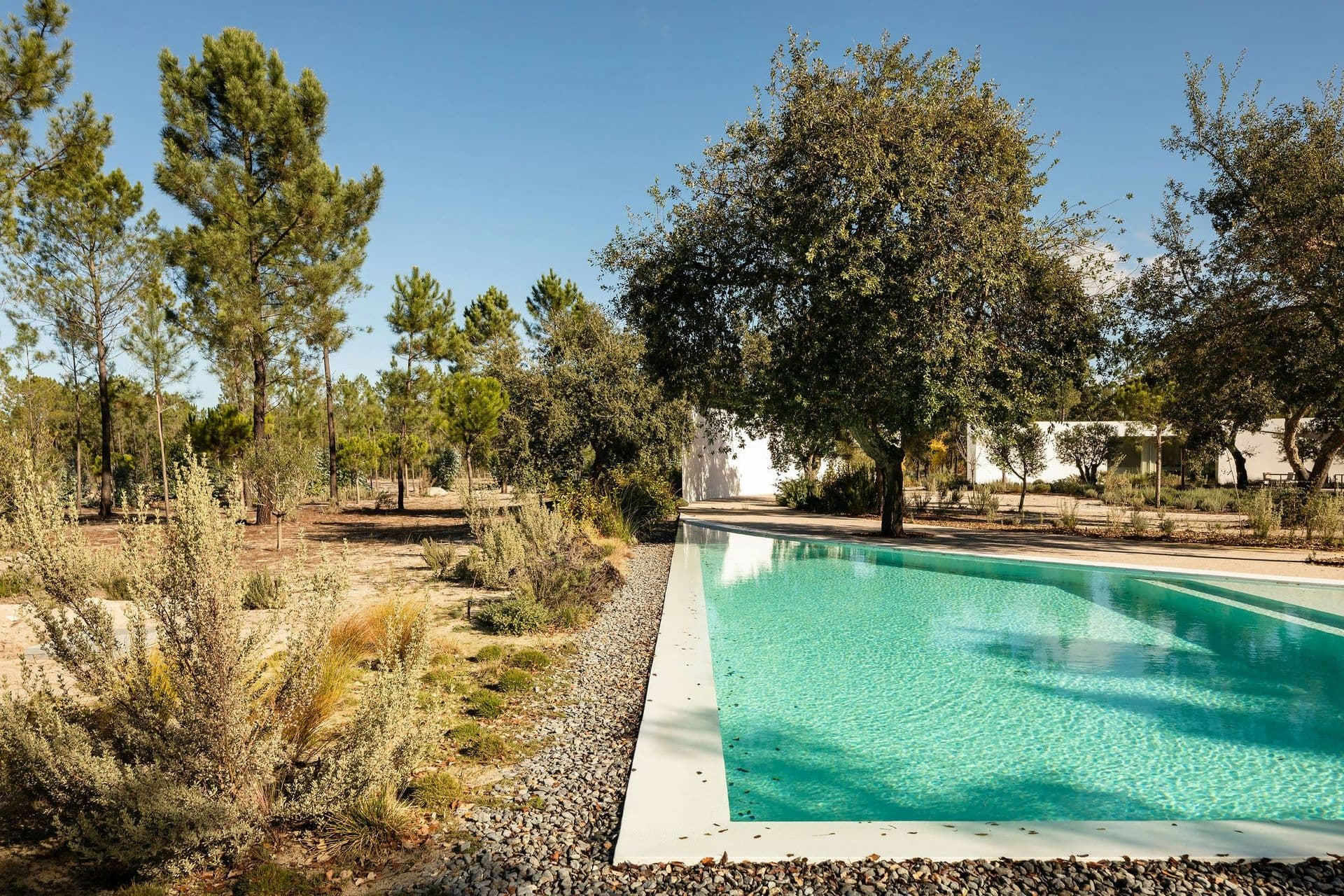 Rectangular pool framed by pine and cork oak trees at The Spirit of Joy, Comporta
