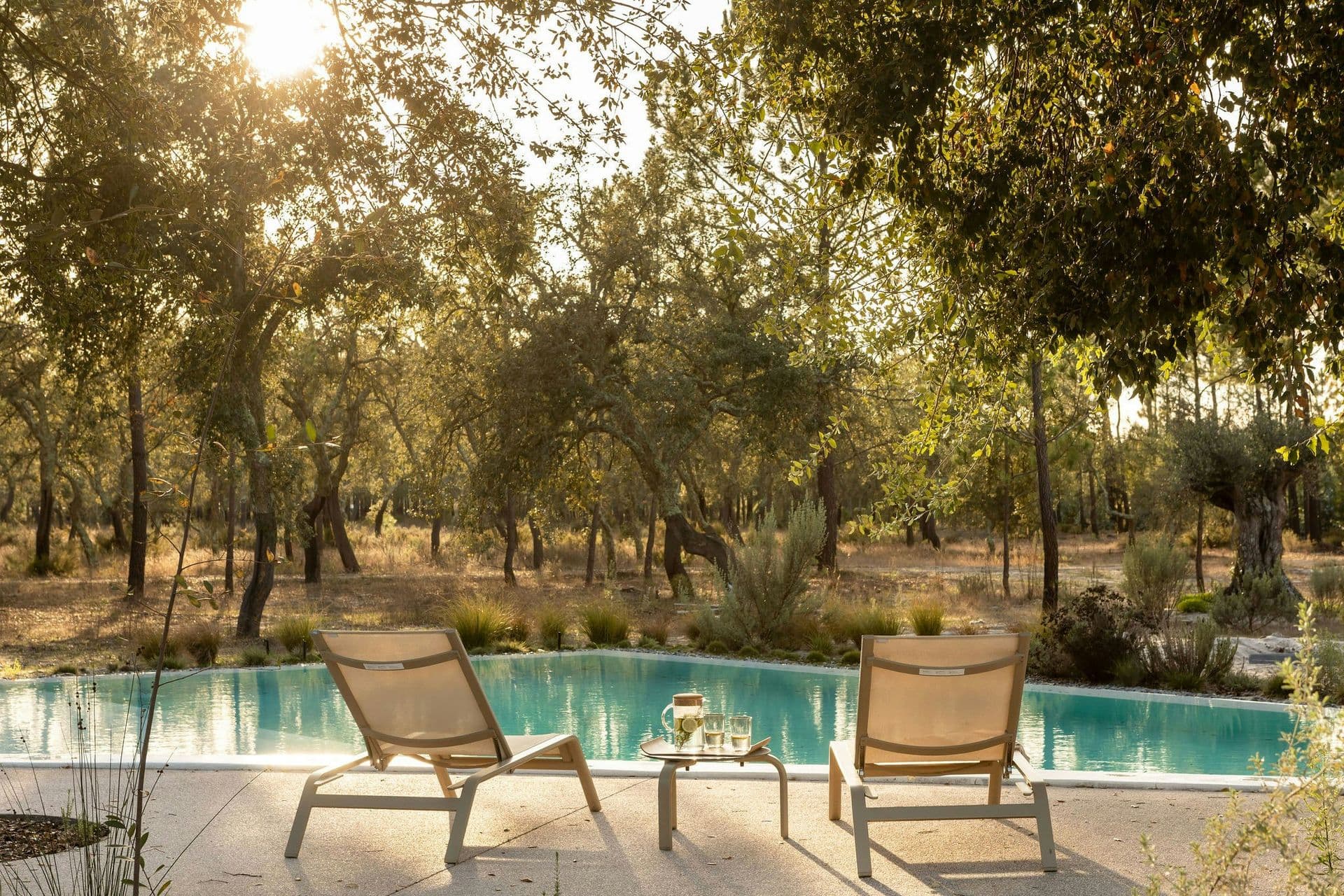 Sun loungers beside the pool under the trees at The Spirit of Joy, Comporta