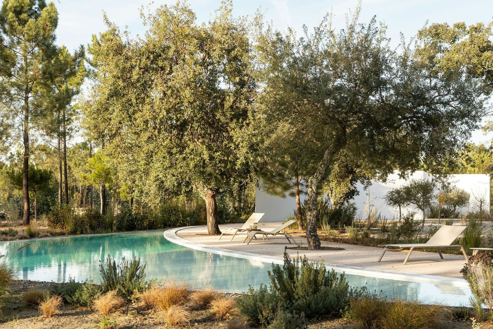 Curved swimming pool among cork oaks with loungers at The Spirit of Joy, Comporta