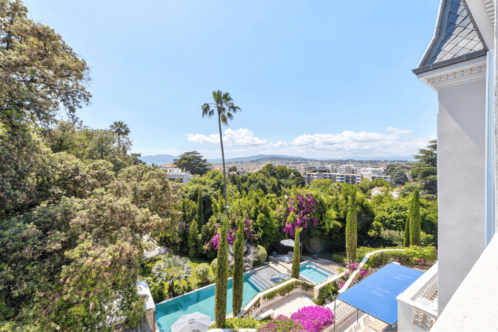 Aerial view over the treetops from The Lark's Song towards the Cannes coastline