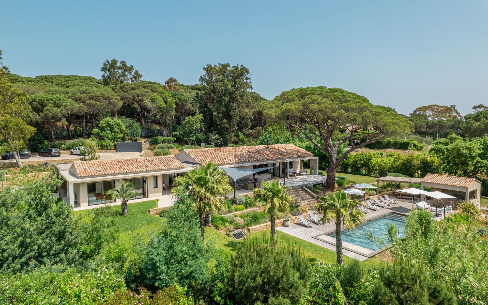 Aerial view of the villa and pool set among umbrella pines at Paradise In Provence.