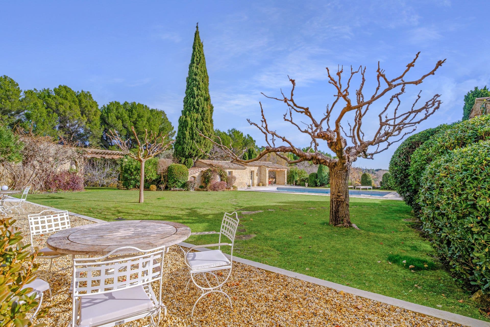 Landscaped garden with topiary, a sculptural tree and wrought-iron patio furniture