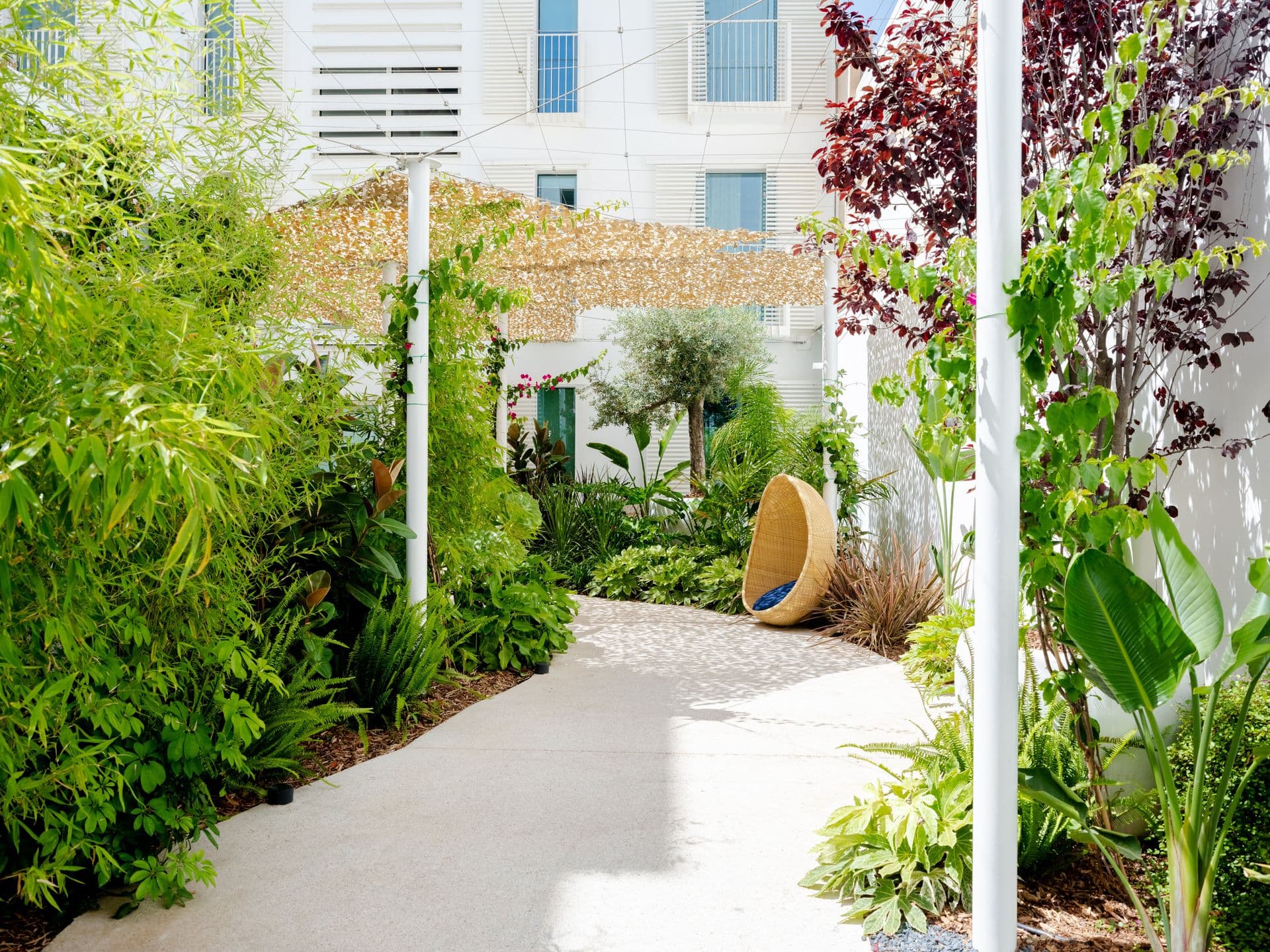 Paved garden path lined with tall bamboo and tropical planting