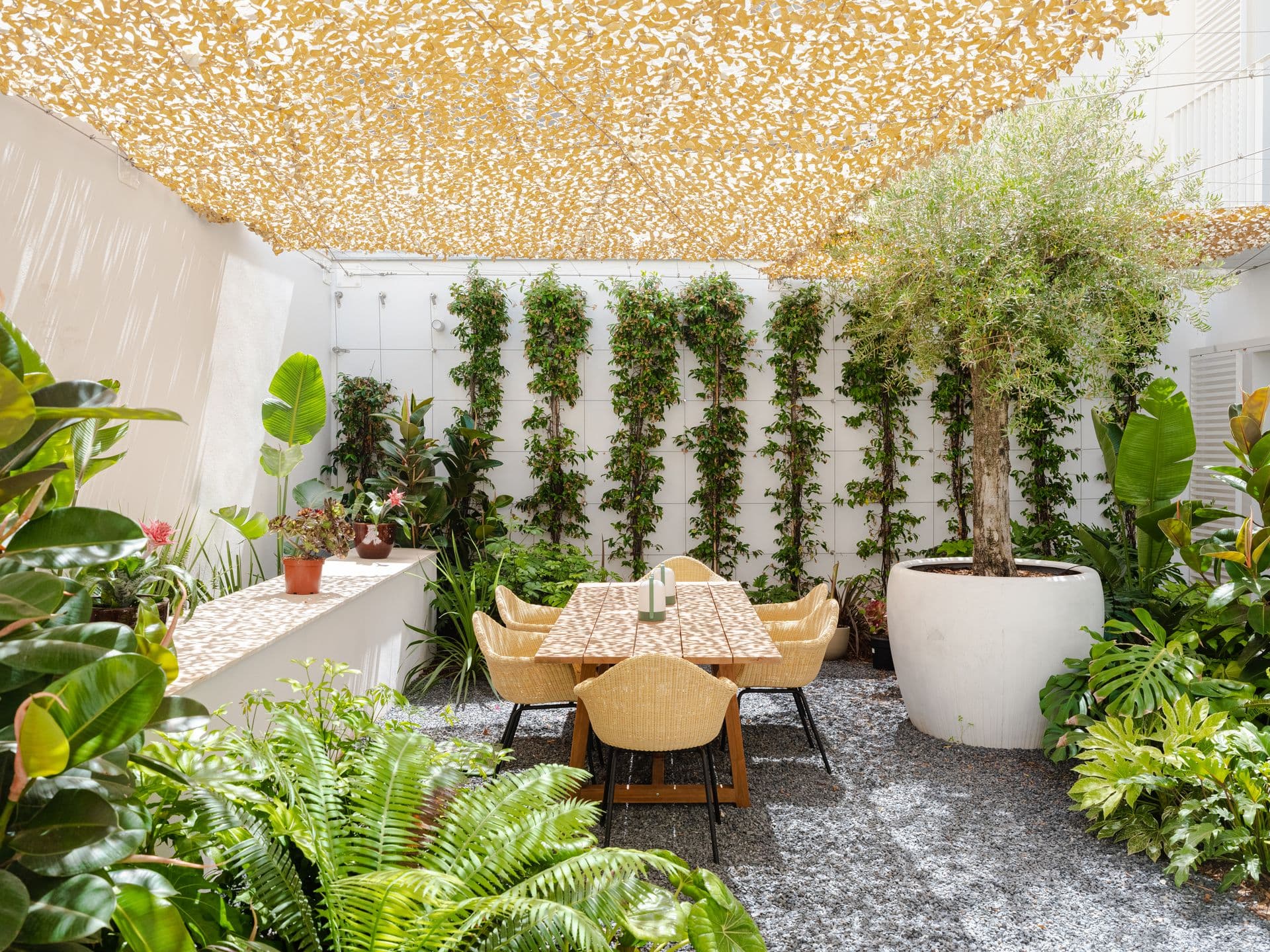 Shaded rooftop terrace with rattan dining chairs and lush potted greenery under a woven pergola