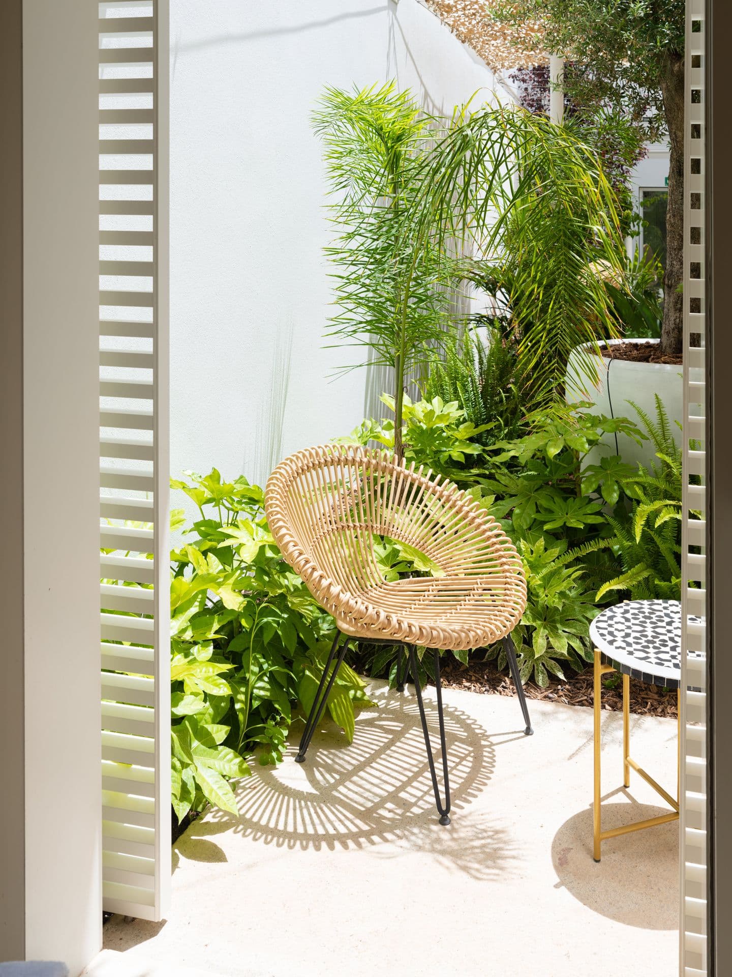 Intimate courtyard seating nook with woven peacock chairs surrounded by dense planting