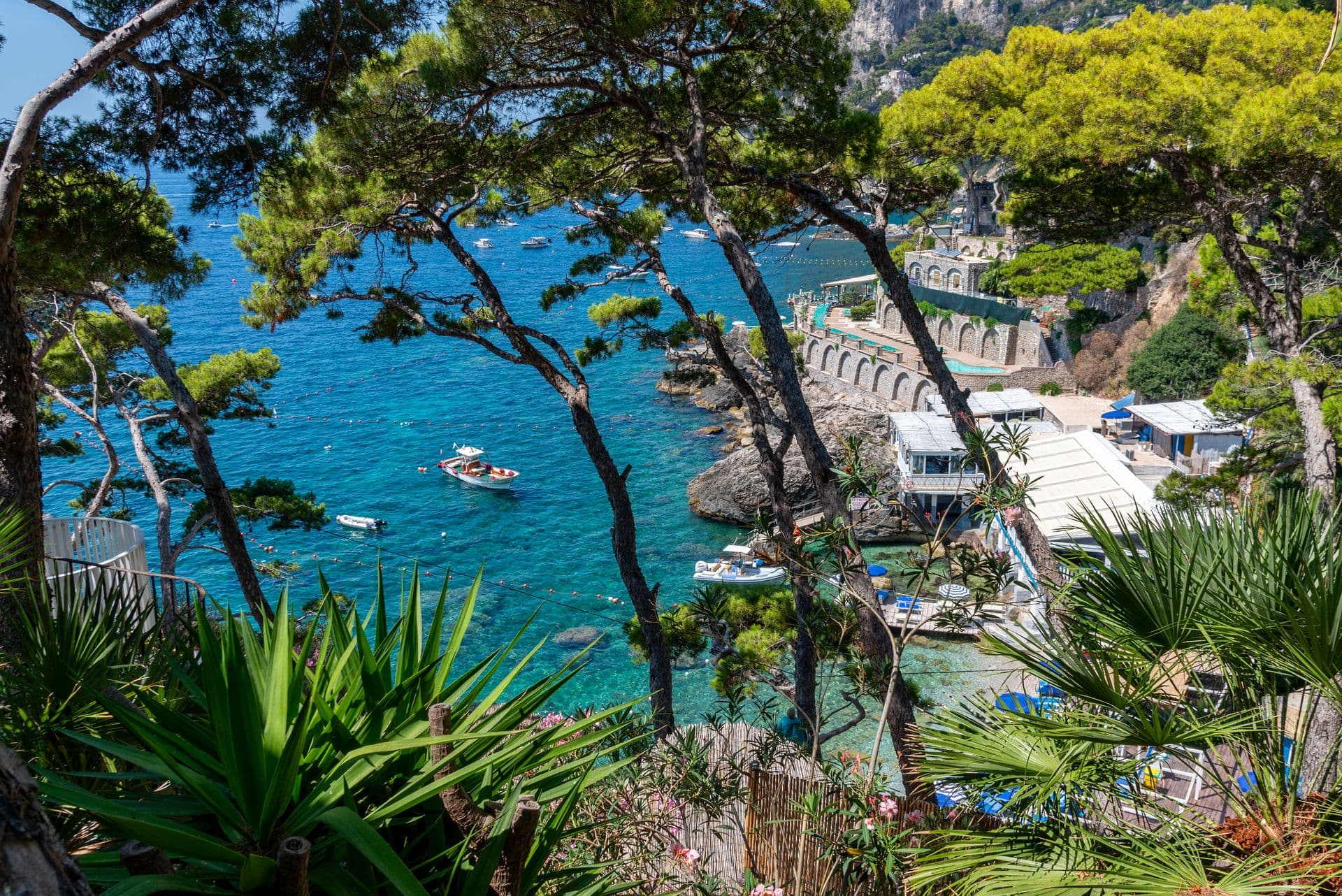 View through pines to the turquoise cove of Marina Piccola at Faraglioni Frills, Capri