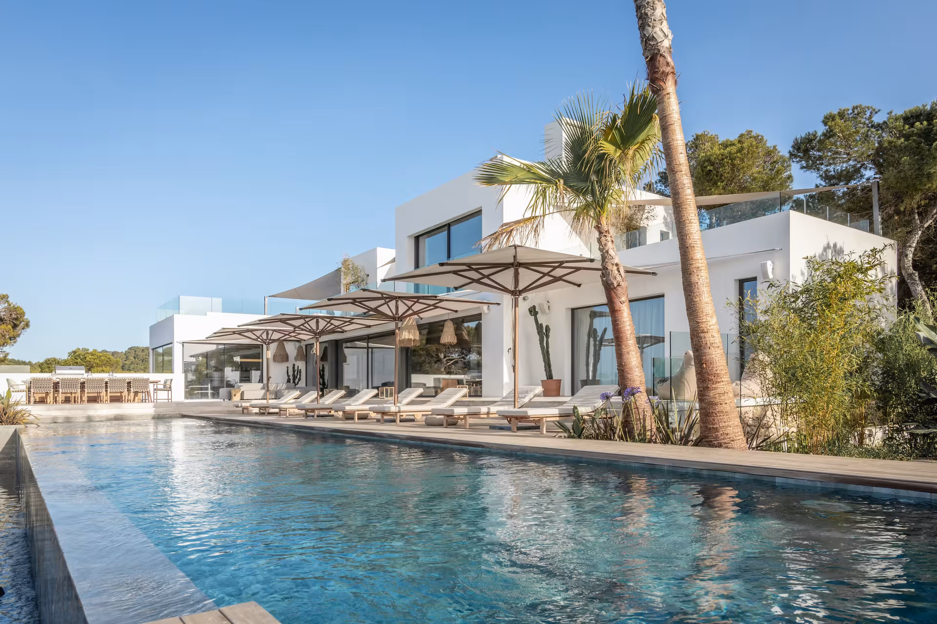 White modern villa facade framed by palm trees beside the pool terrace