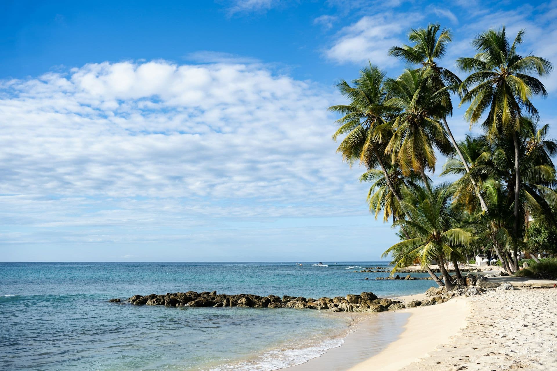 White-sand beach with palms and a rocky point on the Platinum Coast at Moonlight Beauty, Barbados