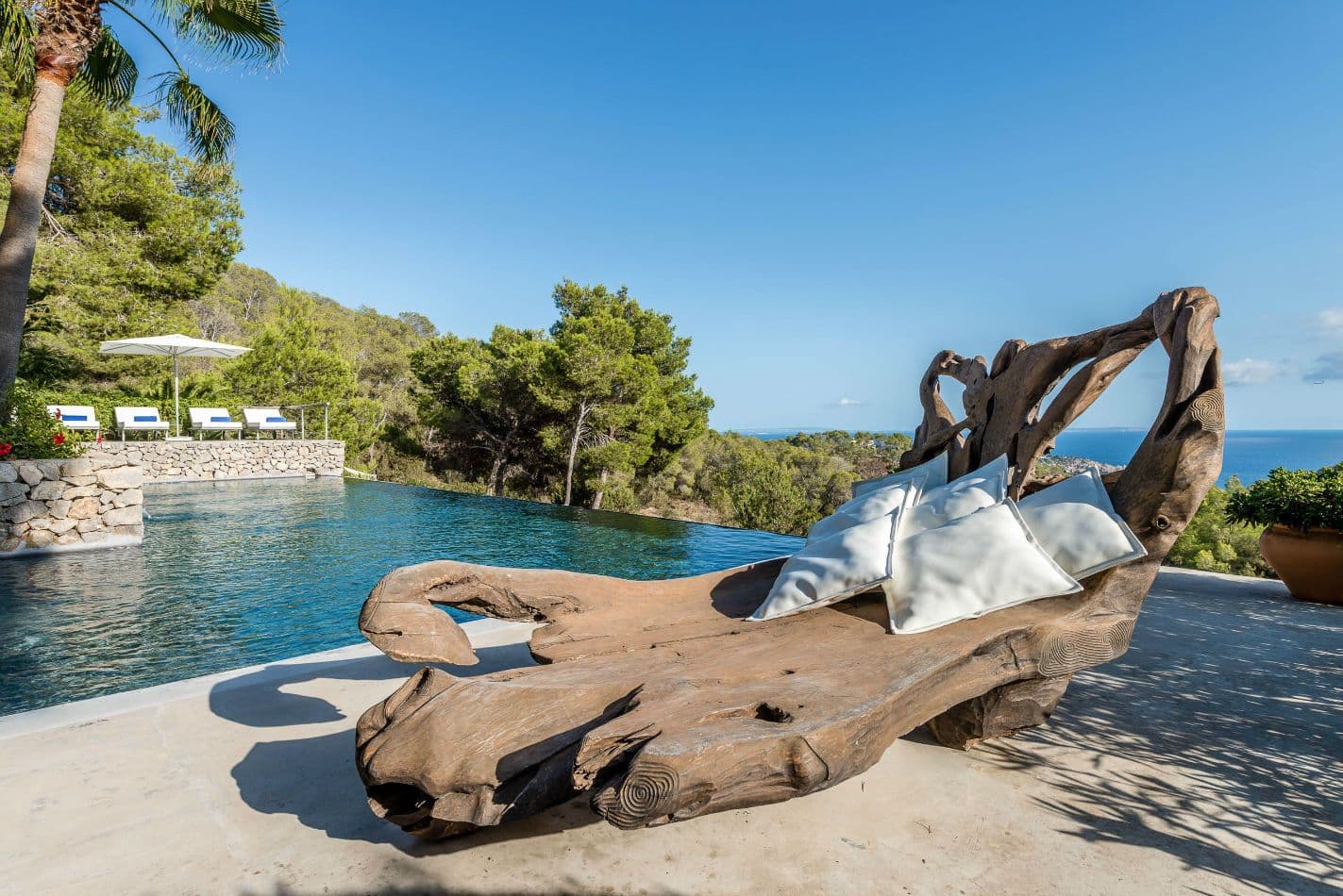 Infinity-edge pool with a sculptural driftwood art piece and countryside views
