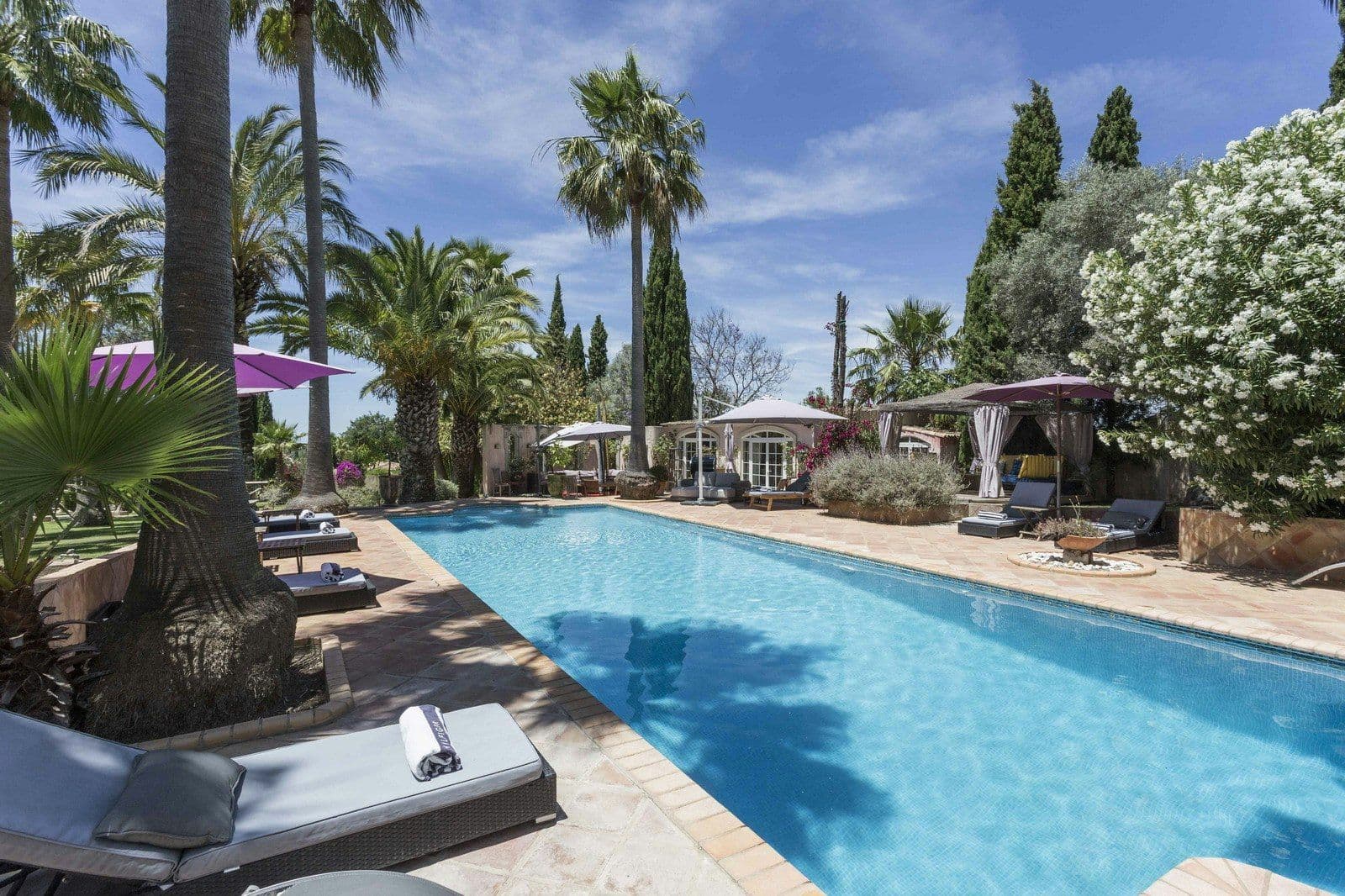 Rectangular pool with towering palms and the villa beyond at Your Algarve Oasis