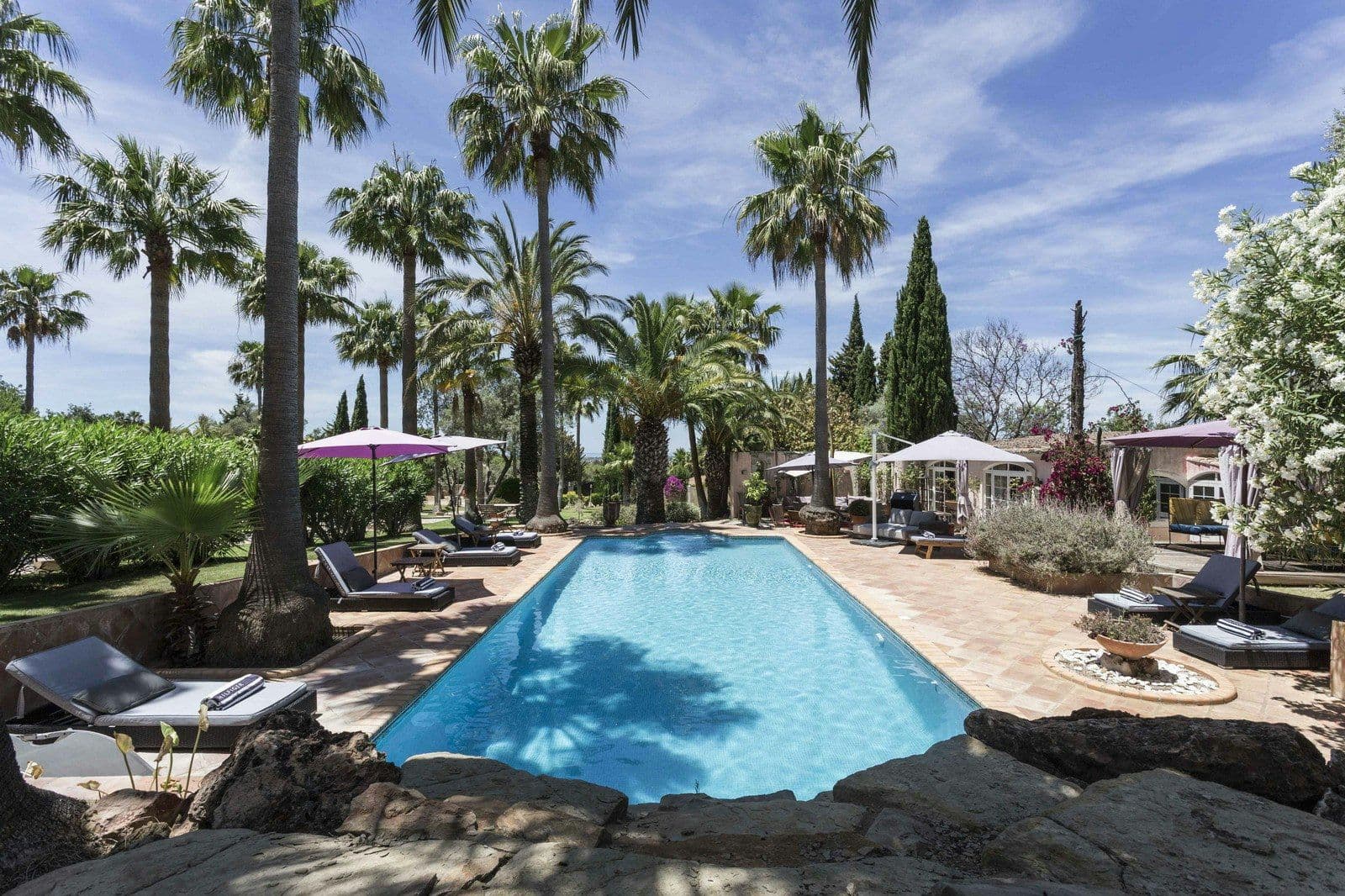 Long pool and sun loungers among palms at Your Algarve Oasis