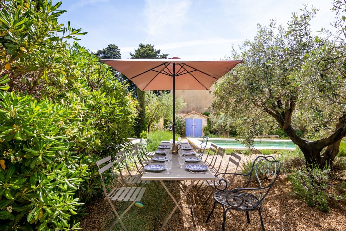 Shaded outdoor dining terrace among olive trees