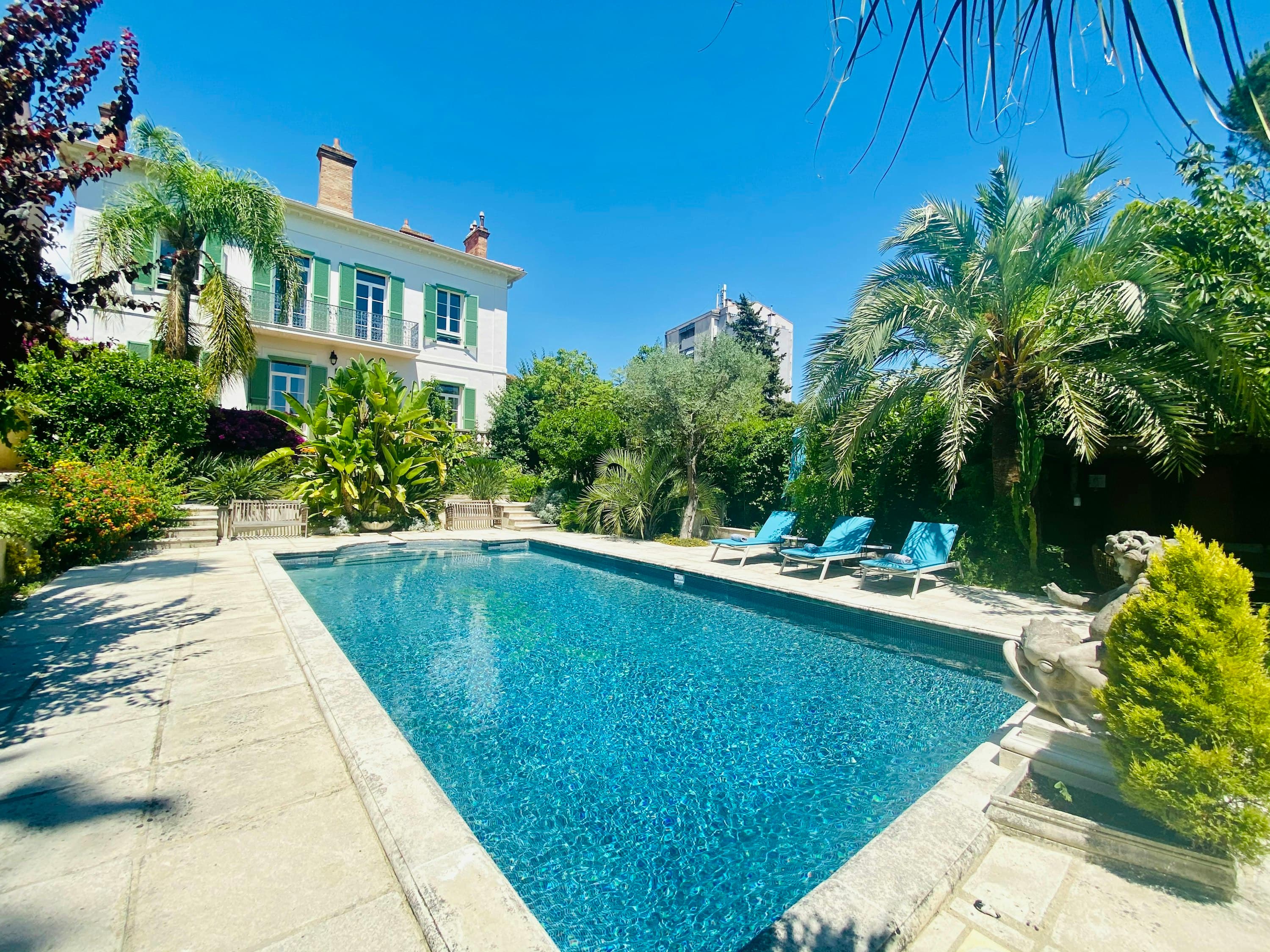 French Chardonnay villa outdoor pool with palm trees and Mediterranean gardens, Cannes, French Riviera, France