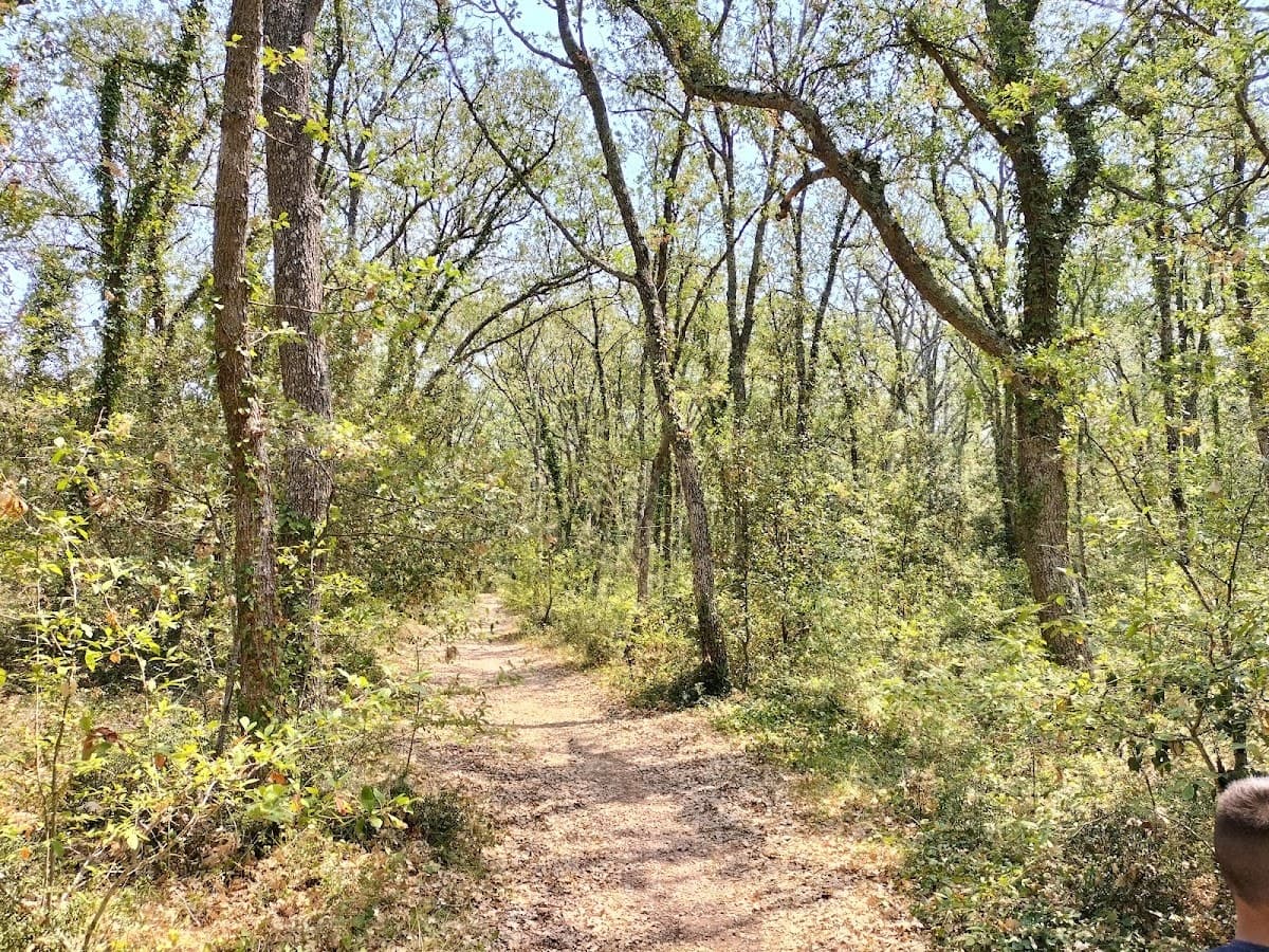 Itria Birdsong private courtyard with trulli cones, Martina Franca, Puglia, Italy
