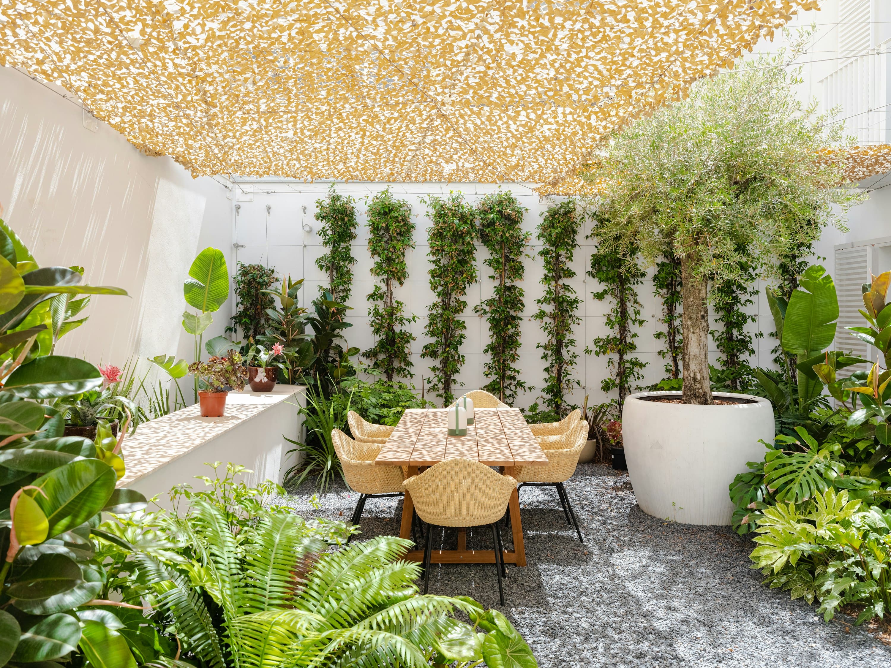 Sun-Drenched Soul private courtyard with living wall gardens and dining terrace, Ibiza, Spain